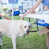 Dare County Boat Builders Foundation - Day 1 Photo