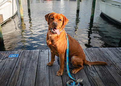 Dare County Boat Builders Foundation - 2024 Day 4 Photo