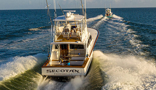 Secotan